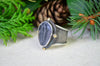 Trilobite Specimen Wide Band Ring w/ 14K Accents (Size 9 3/4)