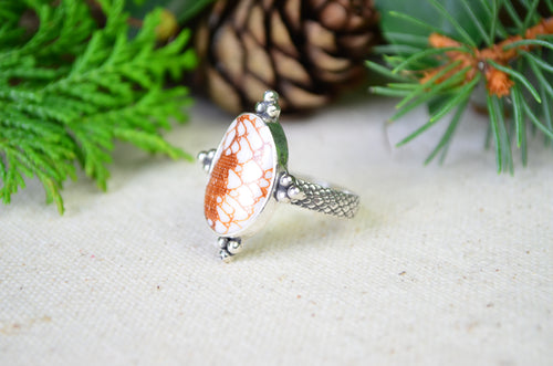 Snake Pattern Shell Ring (Size 10)