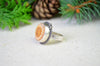 Fossilized Coral Ring (Size 8)