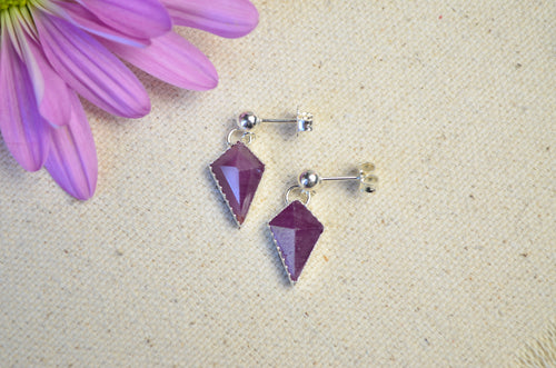 Ruby Shield Earrings