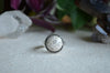 Fossilized Coral Ring (Size 7)