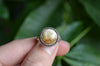 Fossilized Coral Ring (Size 8 1/2)
